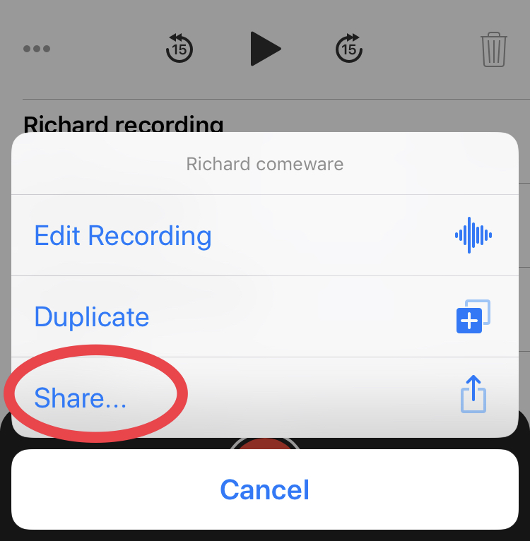 Tap Share to get the AirDrop feature