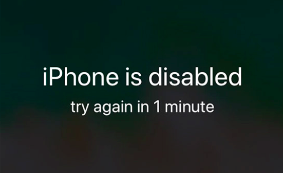 Input Wrong Passcode for 6 Time - Disabled iPhone X
