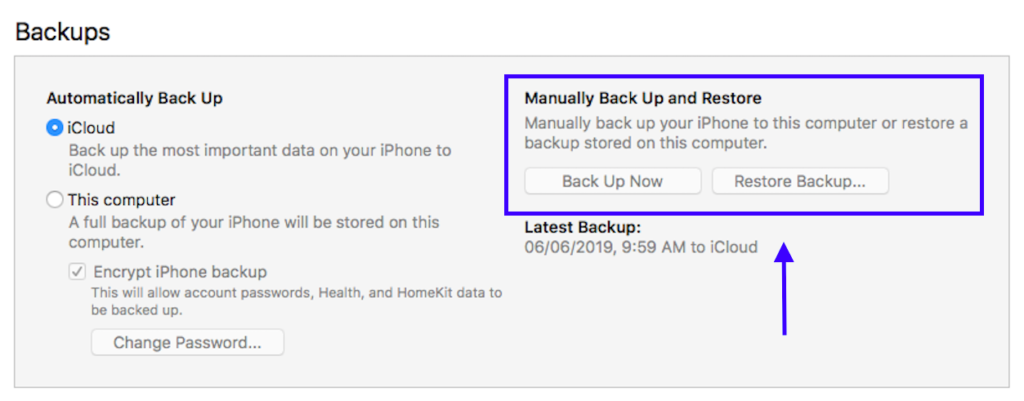 The backup feature on previous Mac iTunes